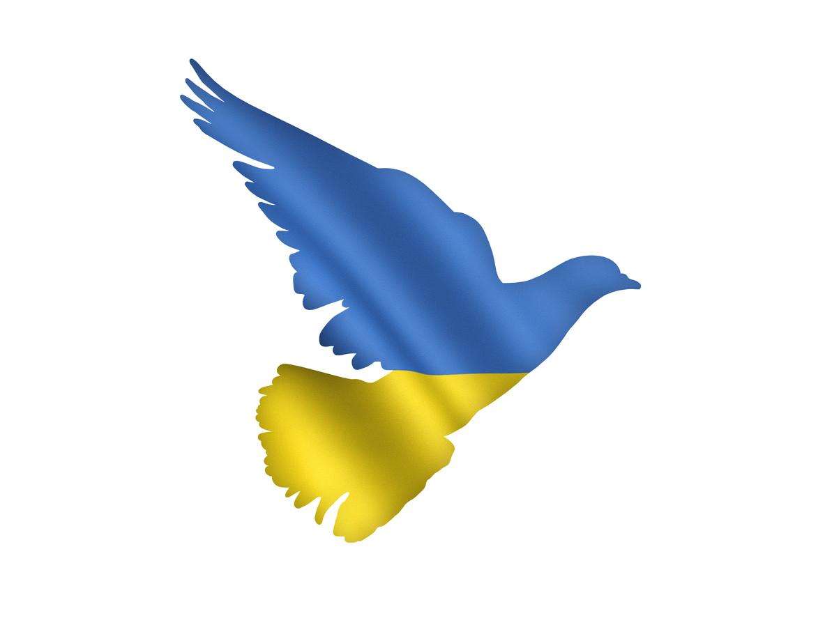 Symbolbild Unterstützung für die Ukraine